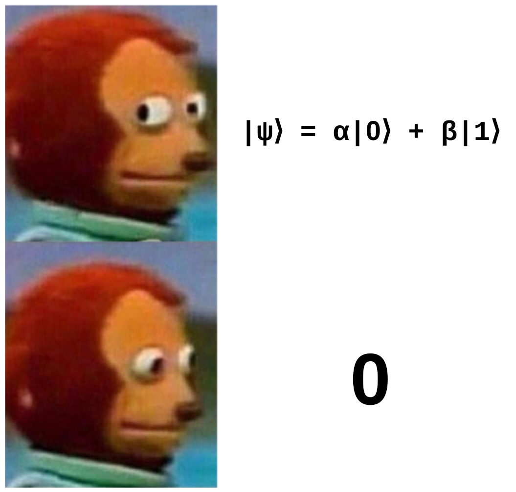 A meme showing a monkey looking away the equation for a qubit superposition. When he turns to face it, the equation turns into a zero